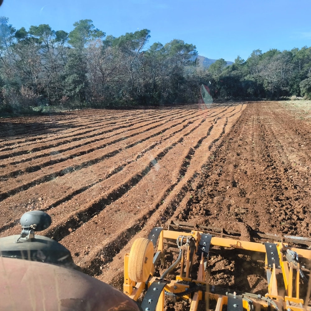 Labourage de Champ Agricole avec un Tracteur Tracteur labourant un champ, créant des sillons réguliers dans la terre brune devant une forêt et un ciel bleu.